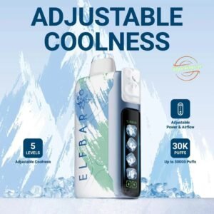 Elf bar ice king 30000 puffs vape price in india