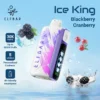 ELFBAR ICE KING 30K PRICE INDIA